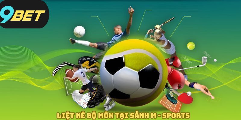 Liệt kê các bộ môn thể thao được ưa chuộng nhất tại M - Sports