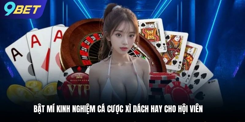 Bật mí kinh nghiệm cá cược xì dách hay cho hội viên