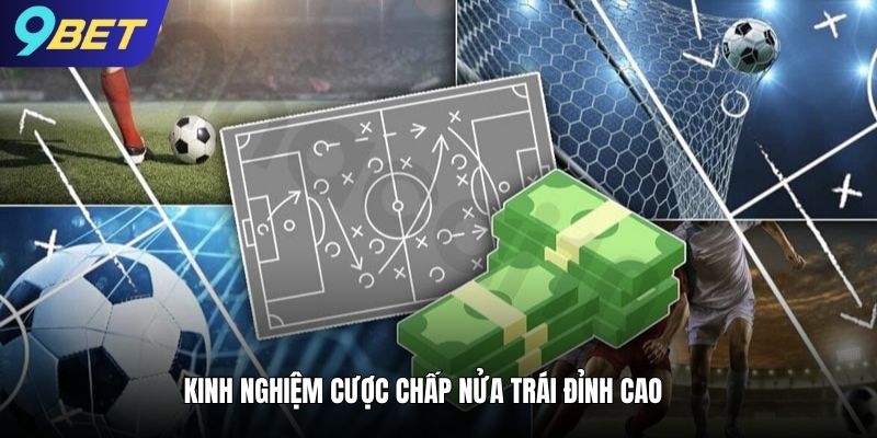 Bật mí kinh nghiệm cược chấp nửa trái đỉnh cao