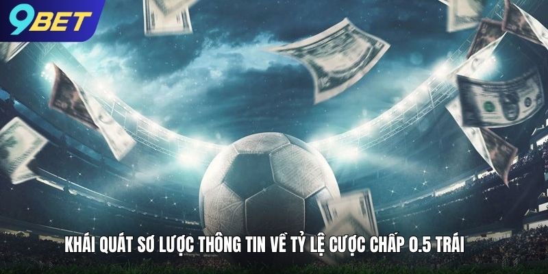Khái quát sơ lược thông tin về tỷ lệ cược chấp 0.5 trái