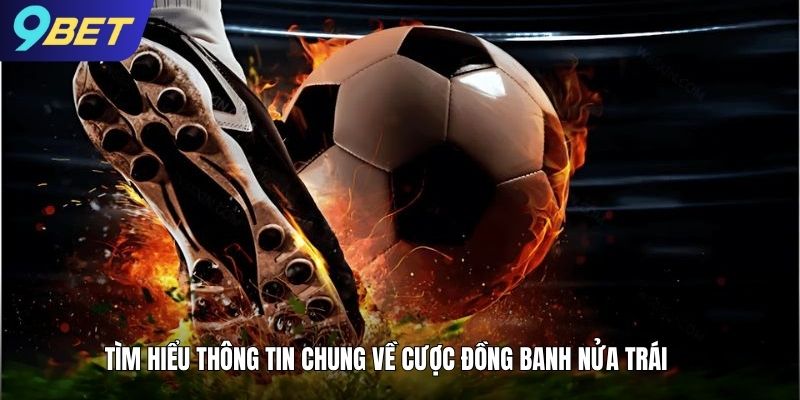 Tìm hiểu thông tin chung về cược đồng banh nửa trái tại 9bet