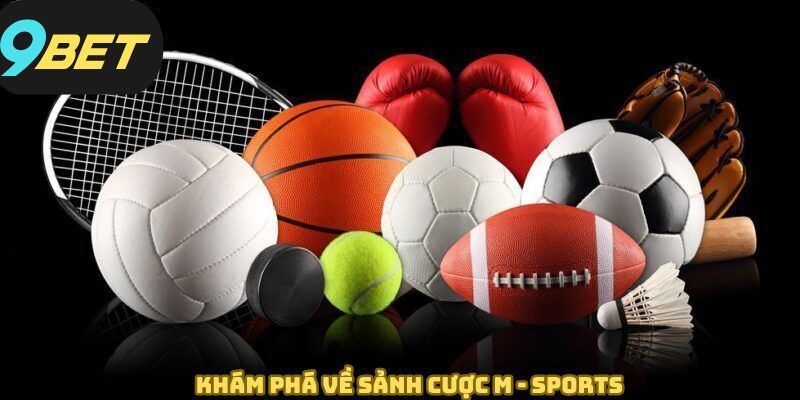 Đôi nét xoay quanh về M - Sports