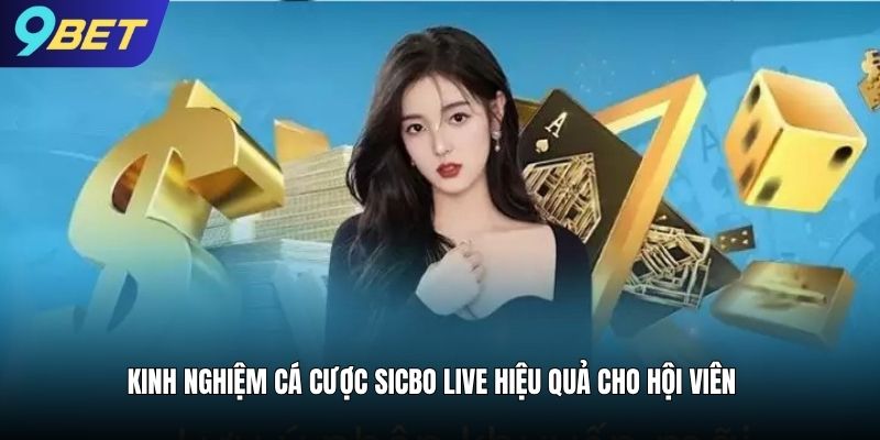 Kinh nghiệm cá cược sicbo live hiệu quả cho hội viên